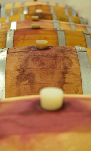 wine barrels in cellar